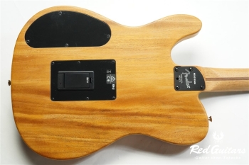 Acoustasonic Player Telecaster - Arctic White